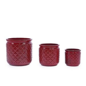 Ceramic Planter Set of 3 in Bean Paste Red Ceramic Modern Pots for