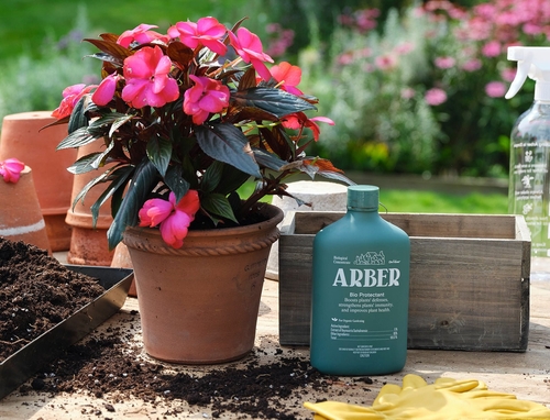 Organic Bio Protectant | Natural Disease Prevention for Plants | House - Image 2