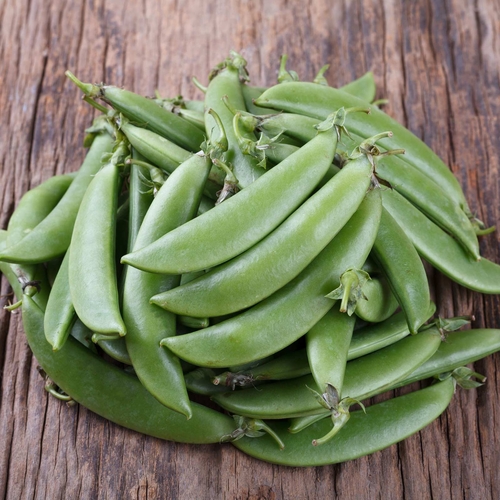 Sugar Snap Pea Seeds - Image 3