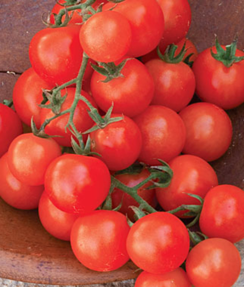 Sweetie Cherry Tomato Seeds - Image 2